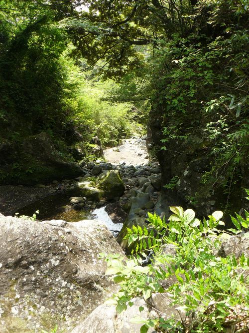 �i�����k�J