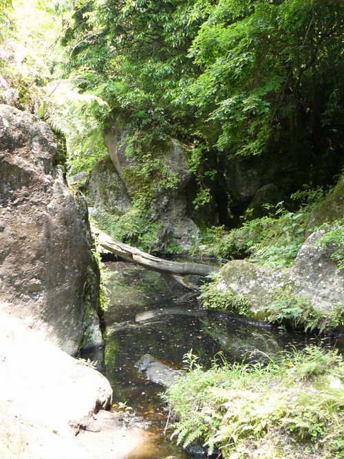 �i�����k�J