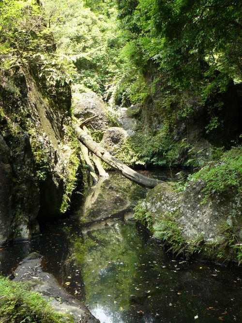 �i�����k�J